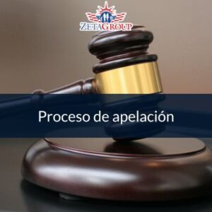 proceso de apelacion